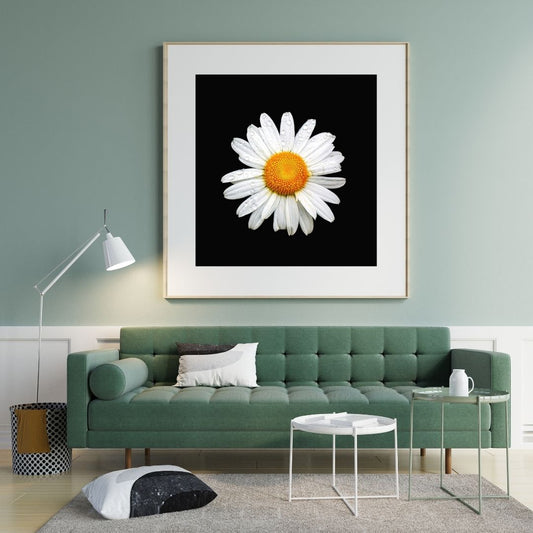 Living room with a green sofa, white coffee table, and framed daisy artwork on the wall.