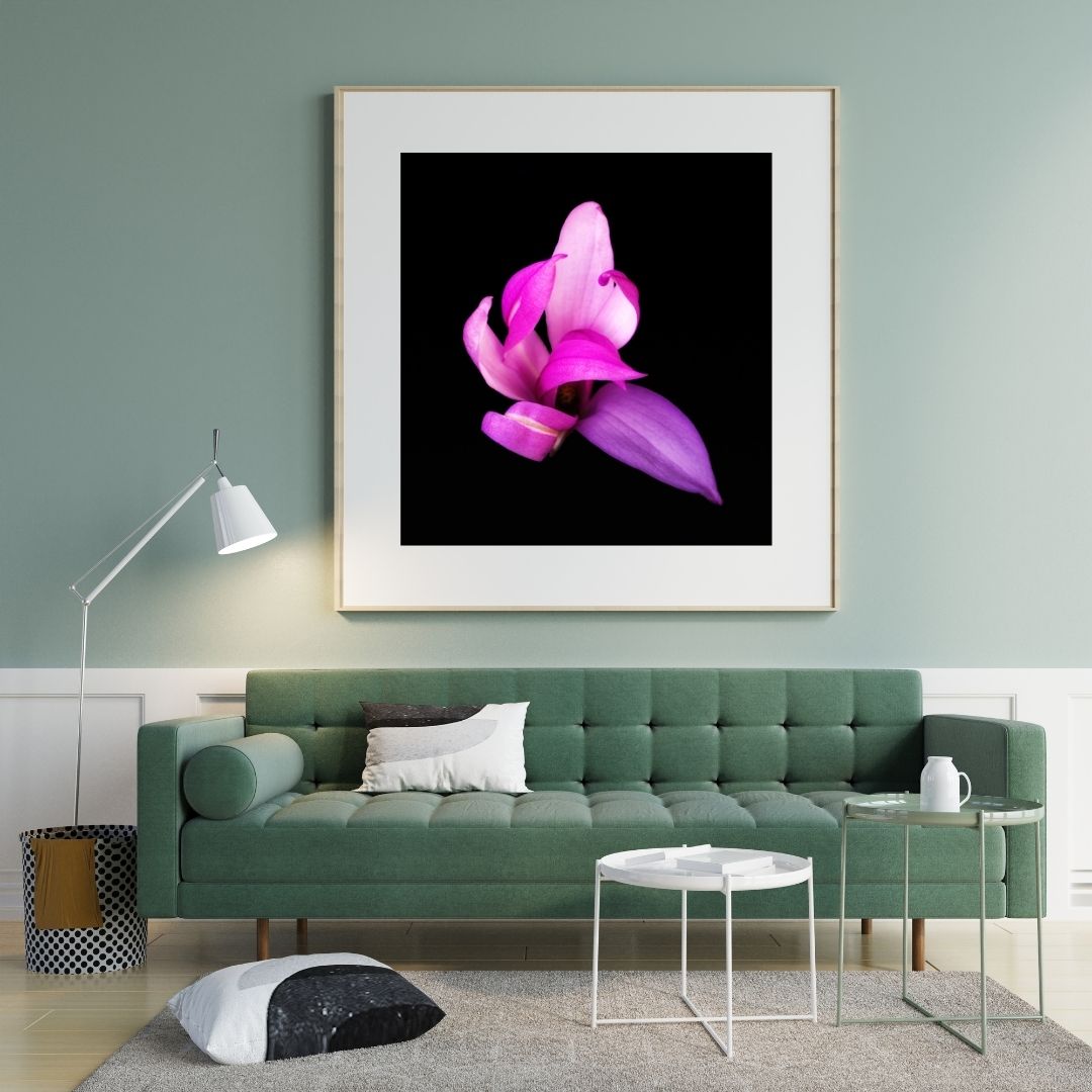 Living room with a green sofa, coffee table, and framed pink flower artwork on the wall.