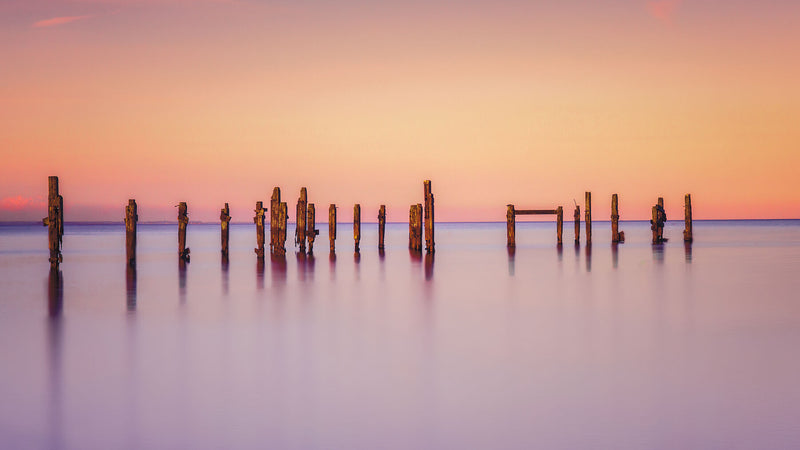 What the Sea Remembers, in Swanage, with peach light on wood