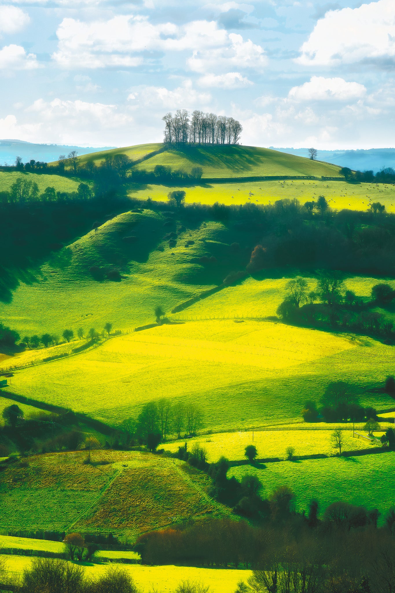 Rolling green fields at Kelston Round Hill in Somerset with soft daylight, gentle shadows, and a cluster of trees on the summit.