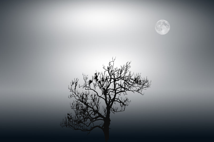 A fine art black and white photograph from Wiltshire, England, showing a solitary tree beneath the moon in a minimalist composition.