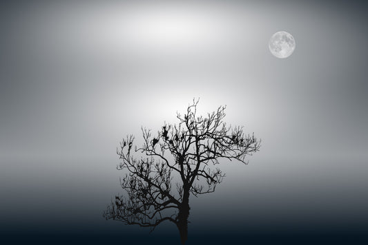 A fine art black and white photograph of Stonehenge in Wiltshire, England, with the full moon above the ancient stones at night.